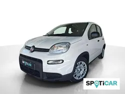 Branco Novo 2025 Fiat Panda Citadino | € 15.250 (Preço justo)
