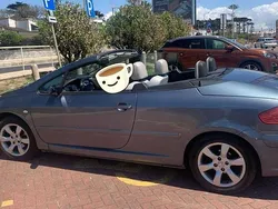 Usado 2006 Peugeot 307 Cabrios | € 5.000