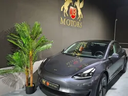 Cinza Usado 2021 Tesla Model 3 Long Range Sedan | € 31.900 (Preço justo)