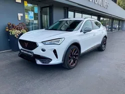 Branco Usado 2022 Cupra Formentor SUV | € 25.750 (Super Preço)
