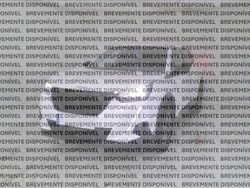 Branco Usado 2022 Peugeot 2008 Active SUV | € 19.850 (Preço justo)