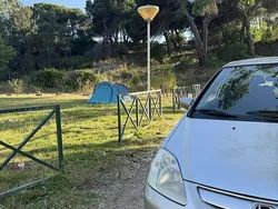 Usado 2002 Honda Civic Citadino | € 1.500 (Preço elevado)