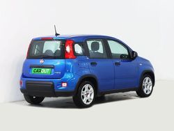 Azul Usado 2024 Fiat Panda | € 12.650 (Bom preço)