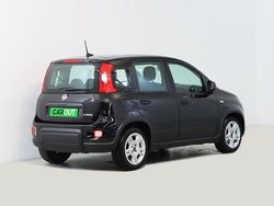 Preto Usado 2024 Fiat Panda | € 13.750