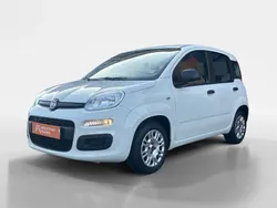 Branco Usado 2022 Fiat Panda Citadino | € 10.250 (Bom preço)