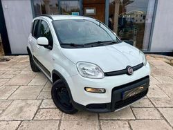 Branco Usado 2019 Fiat Panda | € 11.990 (Caro)