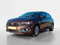 Castanho Usado 2022 Fiat Tipo Life Sedan | € 14.990 (Bom preço)