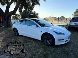 Branco Usado 2019 Tesla Model 3 Standard Range Plus Sedan | € 23.300 (Preço justo)