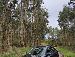 Usado 2003 MG ZR Citadino | € 3.000