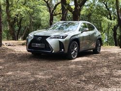 Cinzento Usado 2023 Lexus UX SUV | € 46.000