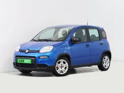 Azul Usado 2024 Fiat Panda Citadino | € 13.750 (Bom preço)