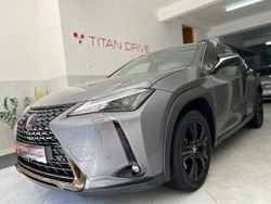 Cinza Usado 2021 Lexus UX 250h Business Edition SUV | € 32.900