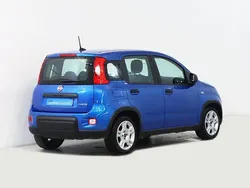 Azul Usado 2024 Fiat Panda Citadino | € 13.750 (Super Preço)