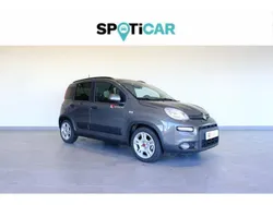 Cinzento Usado 2022 Fiat Panda Citadino | € 13.990 (Caro)