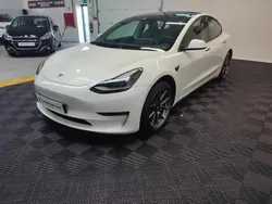 Branco Usado 2021 Tesla Model 3 Sedan | € 31.500 (Preço justo)