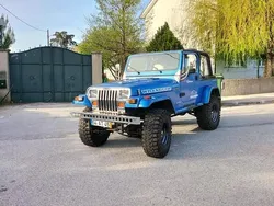 Azul Usado 1994 Jeep Wrangler SUV | € 29.950