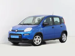Azul Usado 2024 Fiat Panda Citadino | € 13.750 (Super Preço)