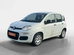 Branco Usado 2022 Fiat Panda Citadino | € 10.740 (Preço justo)