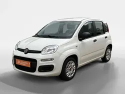 Branco Usado 2022 Fiat Panda Citadino | € 10.250 (Bom preço)
