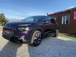 Roxo Usado 2019 Citroën C4 Cactus Shine Citadino | € 16.900 (Preço justo)