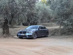 Cinzento Usado 2019 BMW 530 iPerformance Sedan | € 27.999 (Bom preço)