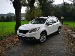 Branco Usado 2017 Peugeot 2008 Style SUV | € 13.990 (Preço justo)