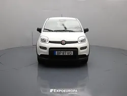 Branco Novo 2024 Fiat Panda Citadino | € 14.490 (Bom preço)