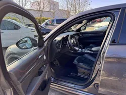 Cinza Usado 2022 Alfa Romeo Stelvio Quadrifoglio SUV | € 72.500