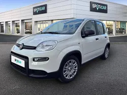 Branco Novo 2025 Fiat Panda Citadino | € 16.000 (Preço justo)