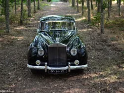 Preto Usado 1980 Rolls Royce Silver Cloud | € 62.000