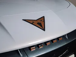 Branco Novo 2025 Cupra Tavascan Endurance SUV | € 43.500