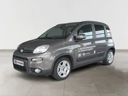 Cinzento Usado 2023 Fiat Panda Citadino | € 13.990 (Preço justo)
