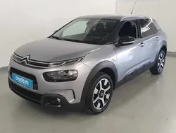 Cinzento Usado 2020 Citroën C4 Cactus Shine Citadino | € 18.990 (Preço elevado)