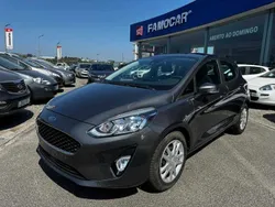 Cinzento Usado 2019 Ford Fiesta Active Citadino | € 12.880 (Preço justo)