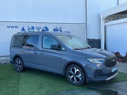 Cinza Usado 2023 Ford Transit Active Monovolume | € 27.450