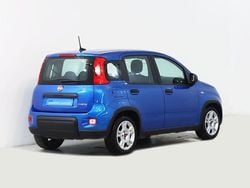 Azul Usado 2024 Fiat Panda | € 12.950 (Bom preço)