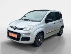 Branco Usado 2015 Fiat Panda Young Citadino | € 8.990 (Super Preço)
