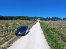 Cinzento Usado 2017 VW Golf VII Carrinha | € 14.000 (Preço justo)