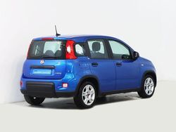Azul Usado 2024 Fiat Panda | € 13.750