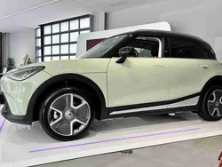 Verde Novo 2025 Smart #1 Edition #1 SUV | € 44.458