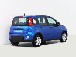 Azul Usado 2024 Fiat Panda Citadino | € 13.750 (Preço justo)