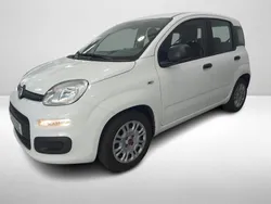 Branco Usado 2021 Fiat Panda Citadino | € 10.990 (Preço justo)