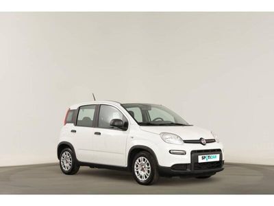 usado Fiat Panda Panda 3 1.0 Hybrid 70cv