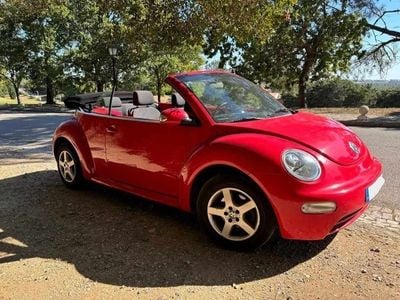 VW Beetle