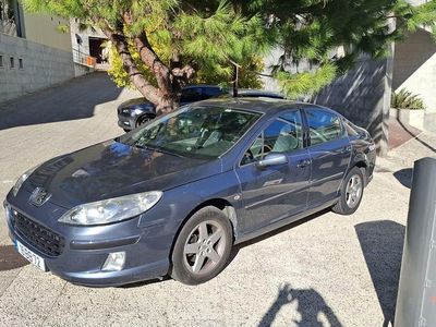Usado 2005 Peugeot 407 Sedan | € 3.900