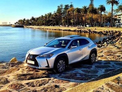 Cinzento Usado 2021 Lexus UX 300e SUV | € 34.950