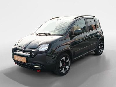 Usado Fiat Panda 70 HP (51 kW) 2024 Verde Citadino