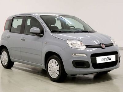 usado Fiat Panda PandaPANDA 1.2 LOUNGE 119G