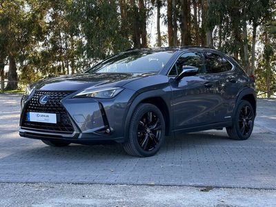 usado Lexus UX UX250h Special Edition