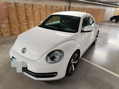 VW Beetle